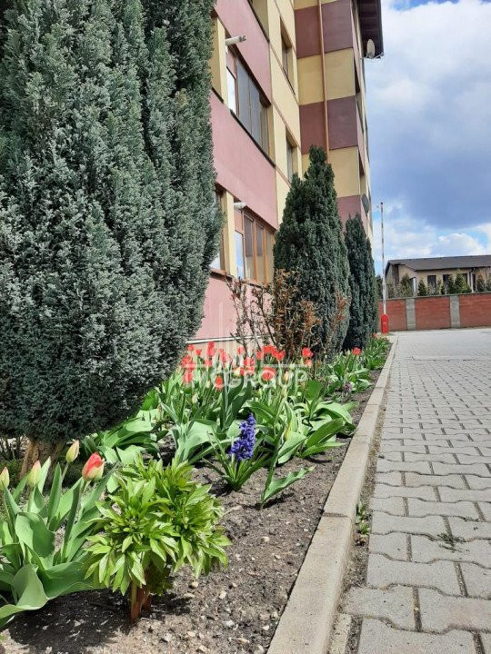 Apartament cu 2 camere decomandate de inchiriat str Urusagului, parcare