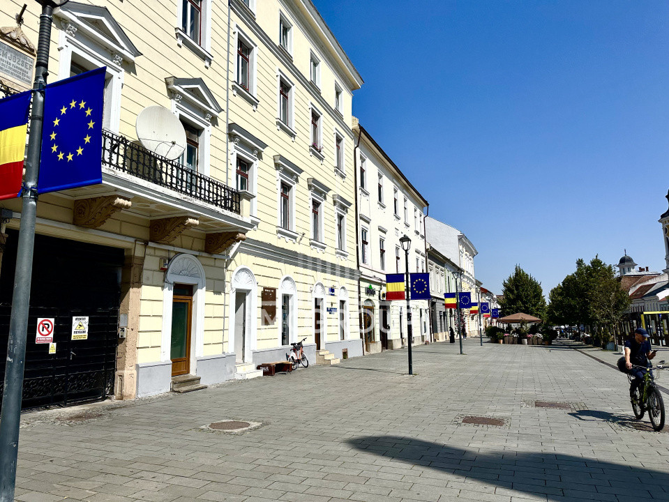 zona Centrala, str. Eroilor, 22 mp, parter
