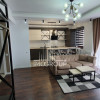 Apartament de inchiriat cu 2 camere si garaj -Europa