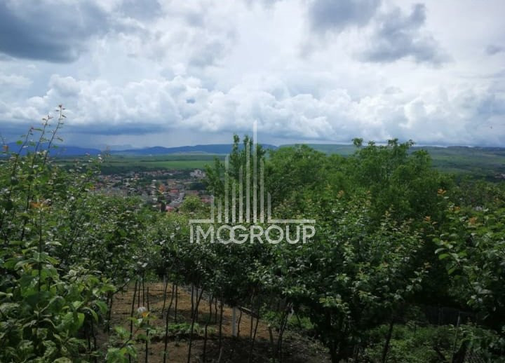 Casa de inchiriat pe str. Agriculturii în Turda