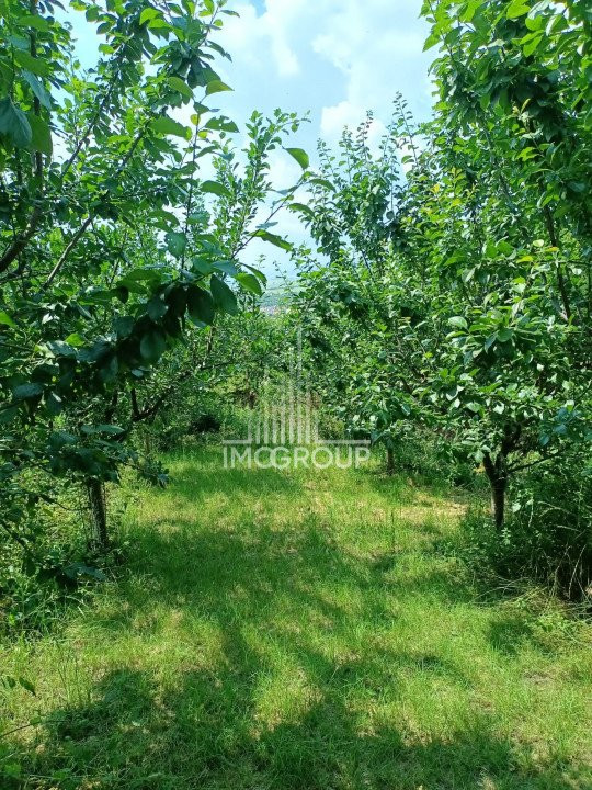 Casa de inchiriat pe str. Agriculturii în Turda